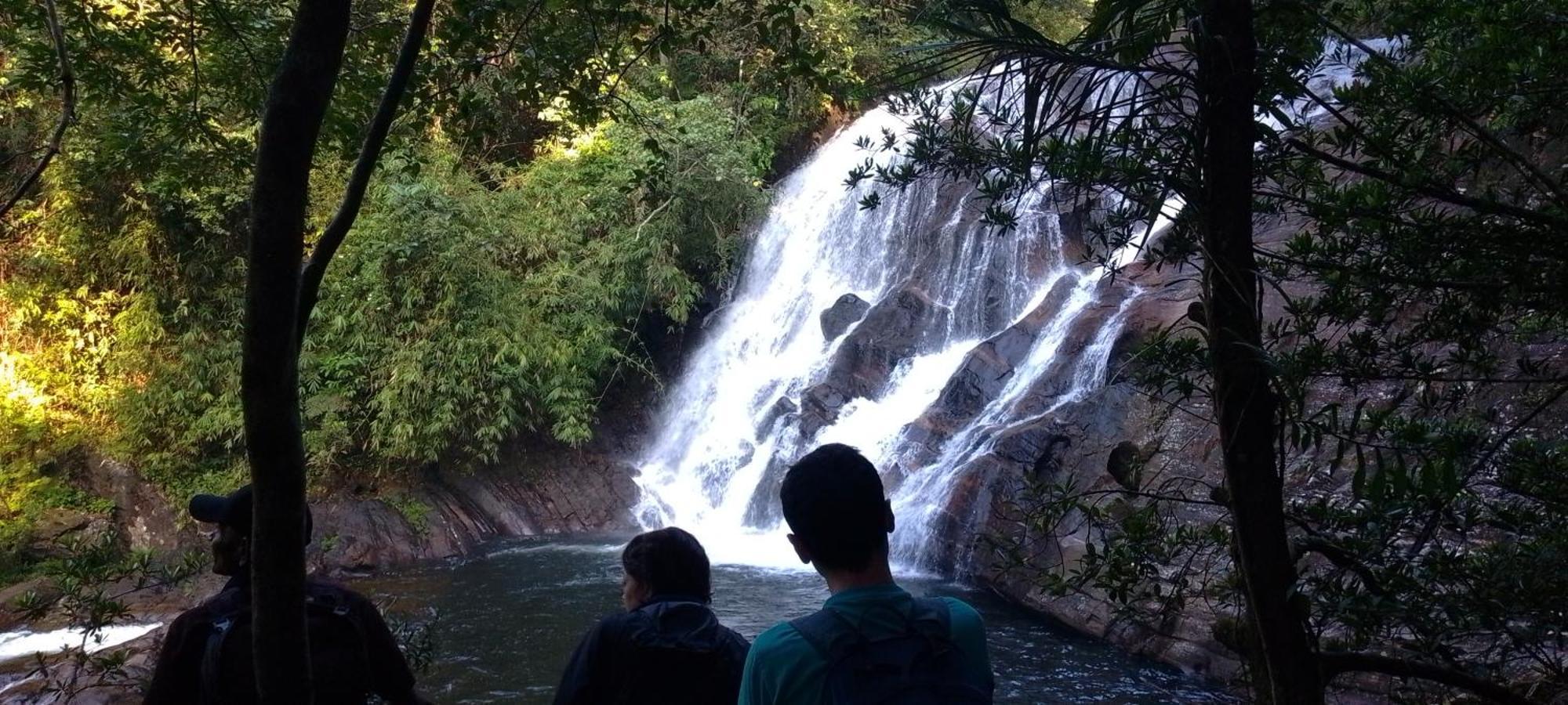 דניאיאה Rainforest River Edge מראה חיצוני תמונה